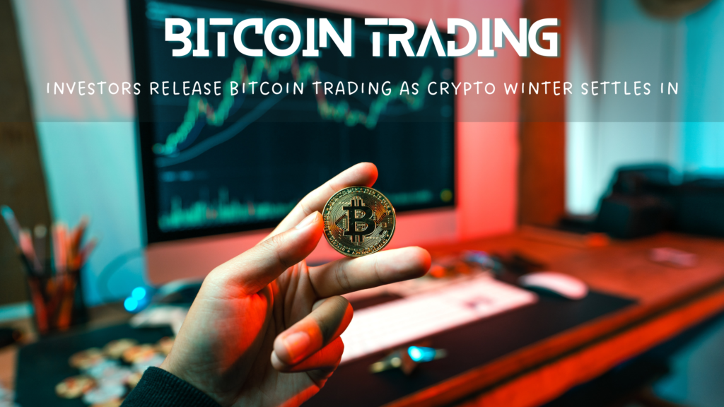 Crypto Winter